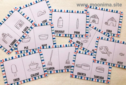 CARTES DE PARAULES OPOSADES-2