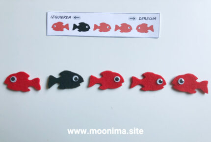PECES HACIA LA DERECHA Y HACIA LA IZQUIERDA-4