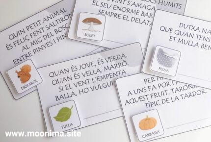 ENDEVINALLES DE TARDOR-1