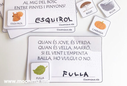 ENDEVINALLES DE TARDOR-3