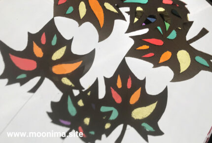 LLUMS I OMBRES DE TARDOR-3