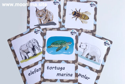 ANIMALS EN PERILL D’EXTINCIÓ-3