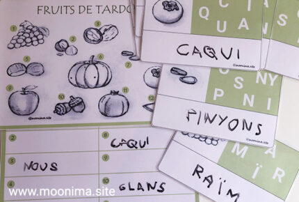 NOMS DE FRUITS DE LA TARDOR-3