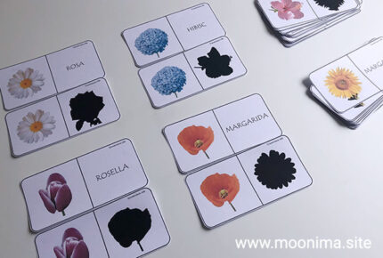 DÒMINOS DE FLORS, SILUETES i NOMS-3