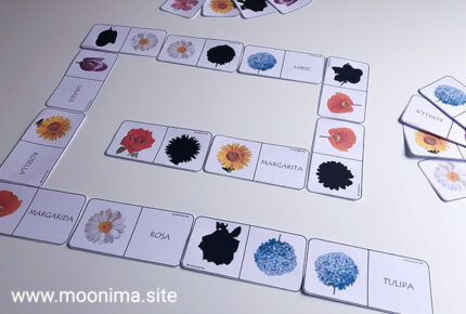 DÒMINOS DE FLORS, SILUETES i NOMS-2