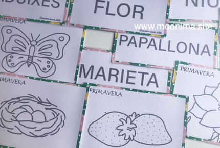 MOTRICITAT FINA: ELEMENTS DE LA PRIMAVERA-1