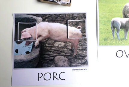 ENDEVINALLES VISUALS, ANIMALS DE LA GRANJA-3