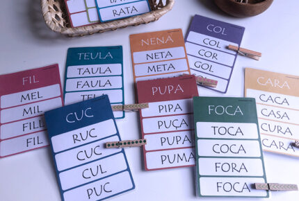 PARAULES SEMBLANTS, PARAULES IGUALS-3